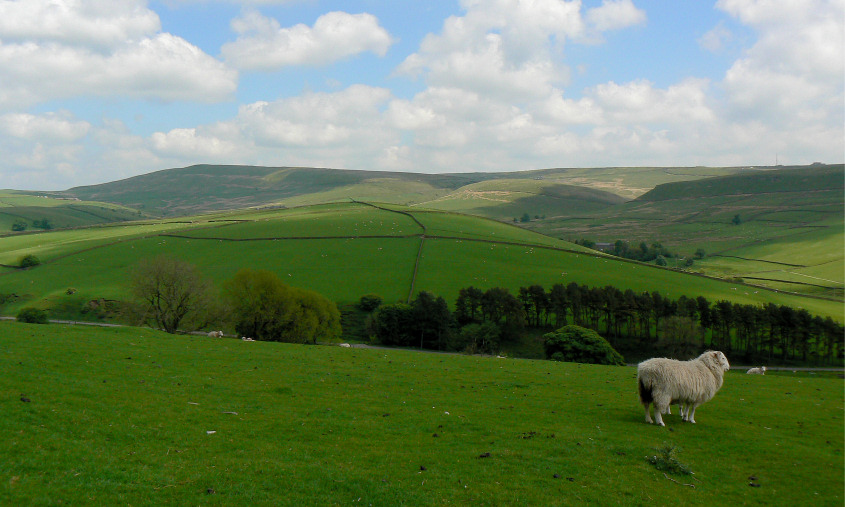 Shining Tor Shining Tor